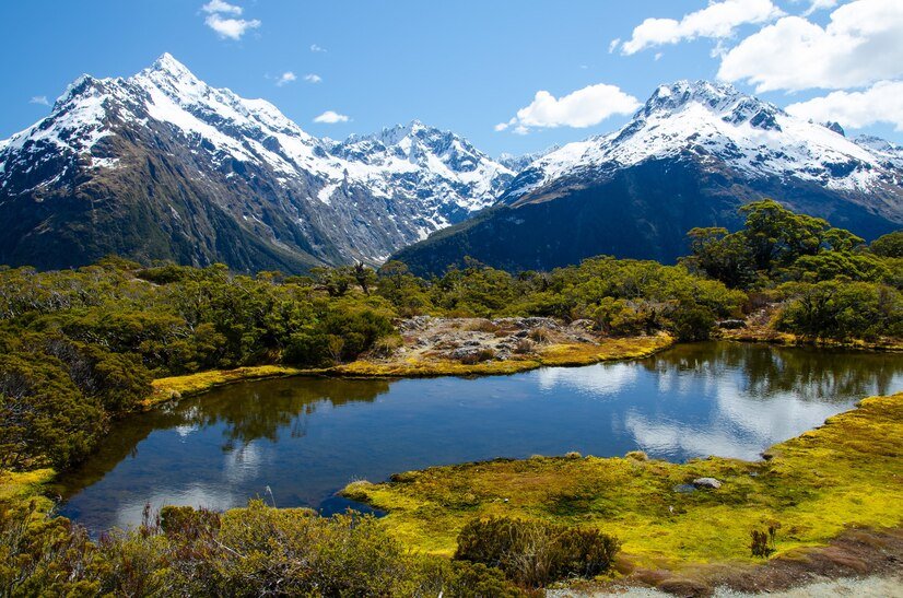 Newzealand